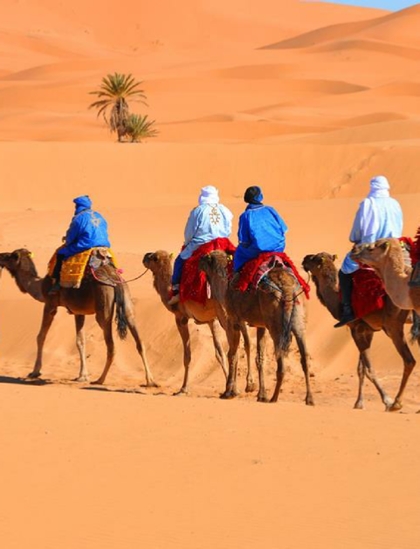 Morocco Tours