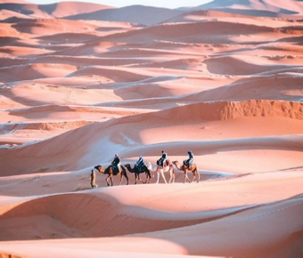 Morocco Tours