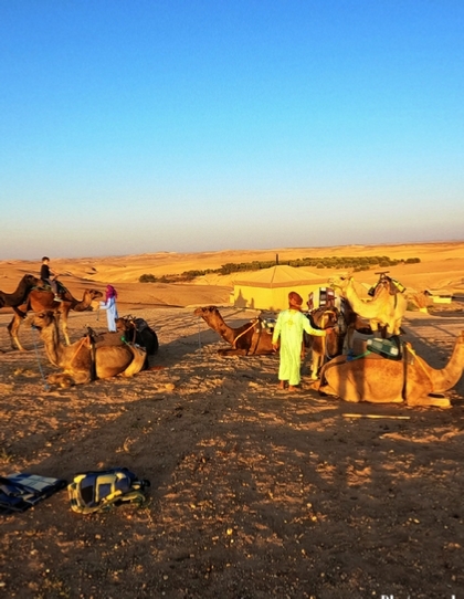 Agafay Desert Tour