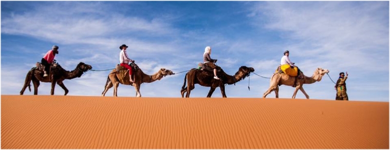 6 day Camel tour to Marrakech from Casablanca