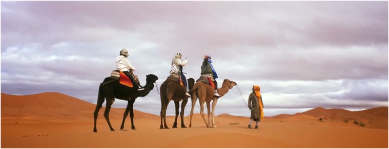 6 day Camel tour to Marrakech from Casablanca