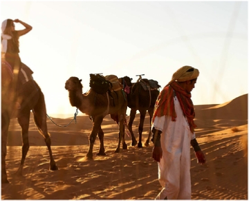 7-Day Morocco Camel Trekking Tour