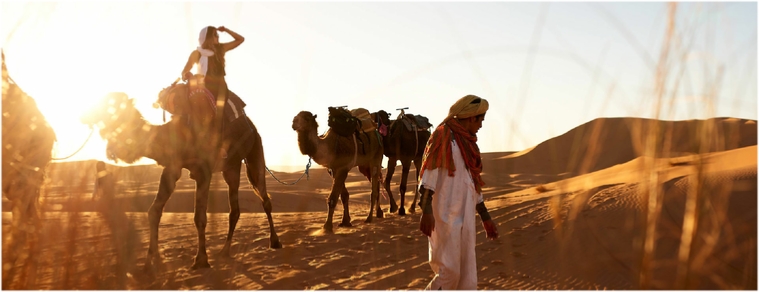 7-Day Morocco Camel Trekking Tour