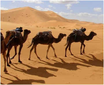 3-Day Chegaga Desert Tour from Marrakech