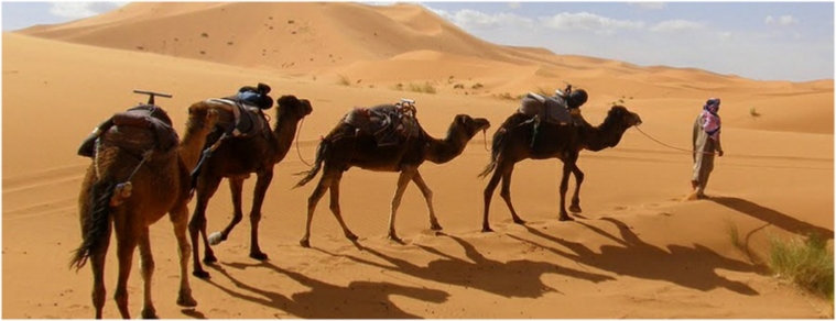 3-Day Chegaga Desert Tour from Marrakech