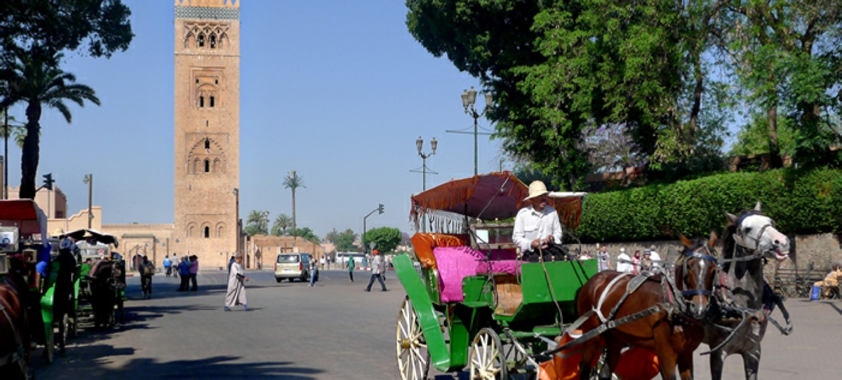 6 day Camel tour to Marrakech from Casablanca