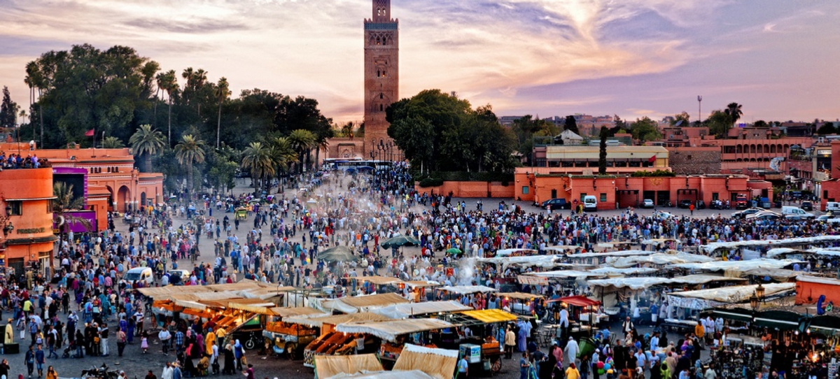 6 day Camel tour to Marrakech from Casablanca