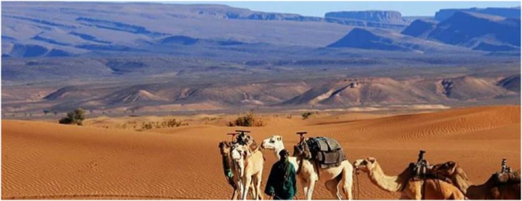 2 days Marrakech tour to desert in Zagora