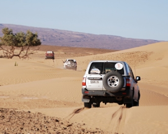 Private Transfers for tours in Morocco